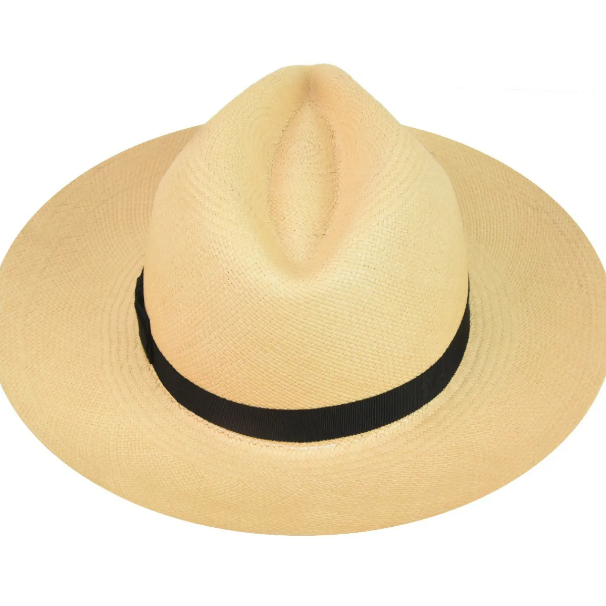 Hot Ardit Wide Brim