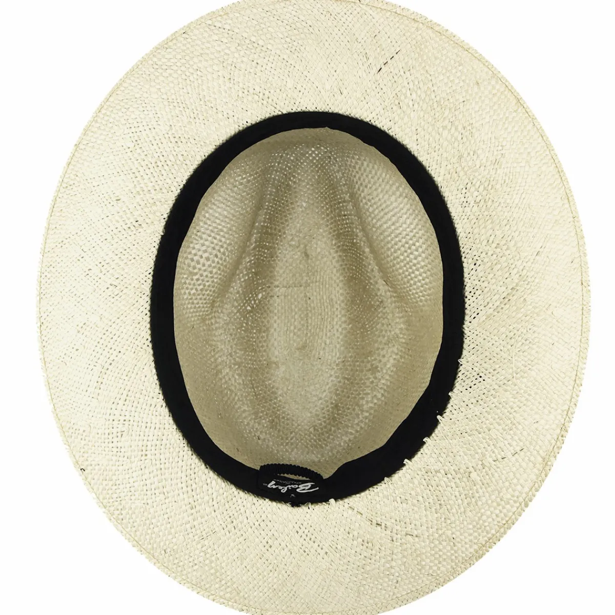 Hot Braylon Spring & Summer Shop