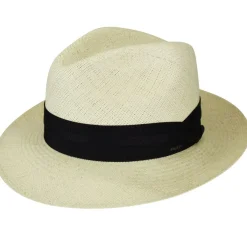 Store Cuban Warm Weather