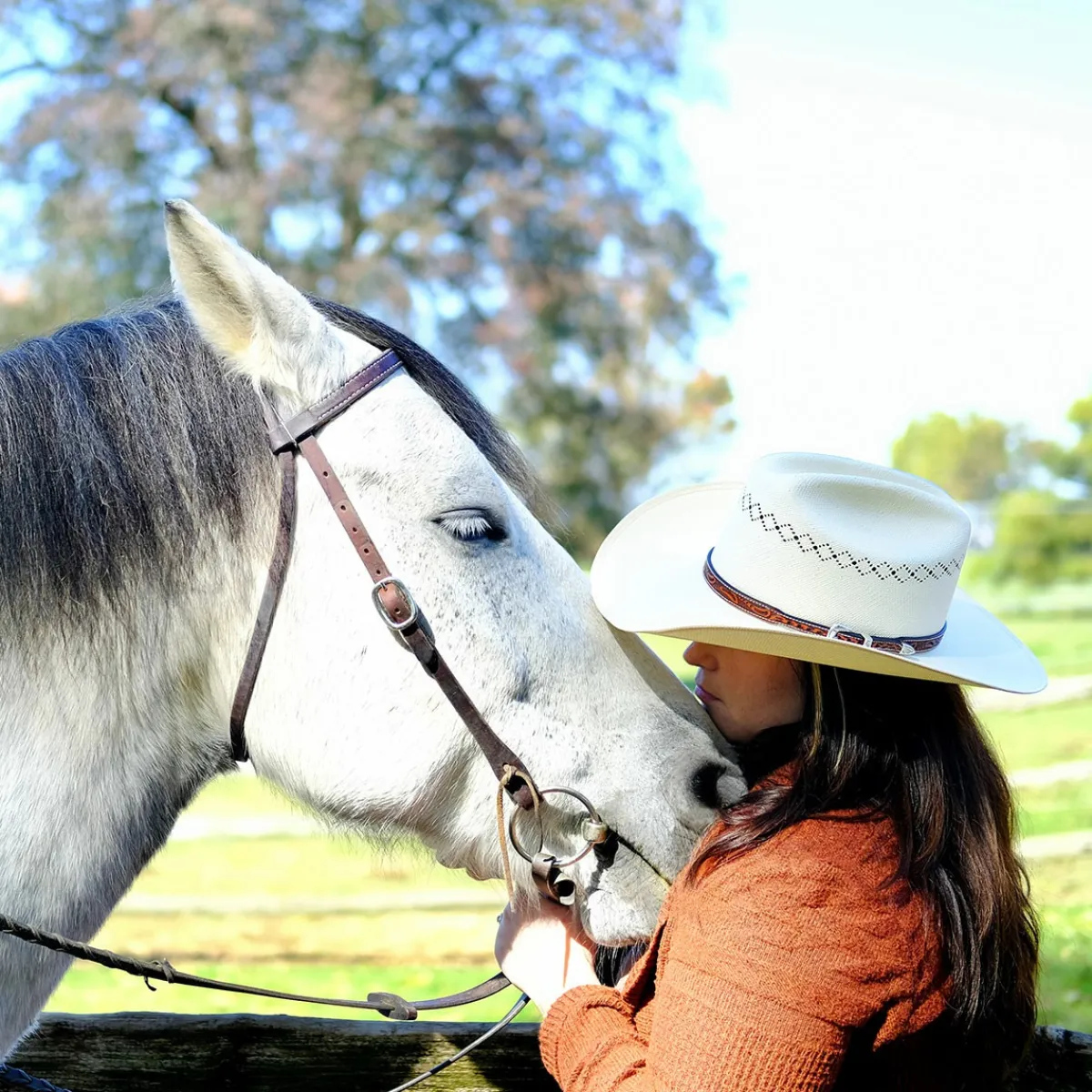Sale Limited Edition - Blue Moon Cattleman