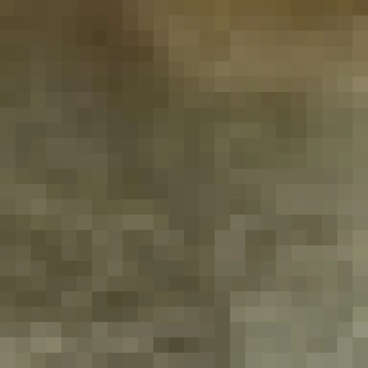 Outlet Renegade® Zella Wool Felt